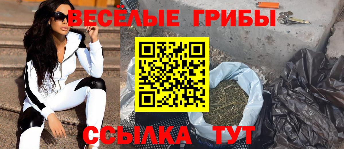 Псилоцибиновые грибы Psilocybine cubensis  Псилоцибиновые грибы мицелий  Вход с VPN  Ипатово 