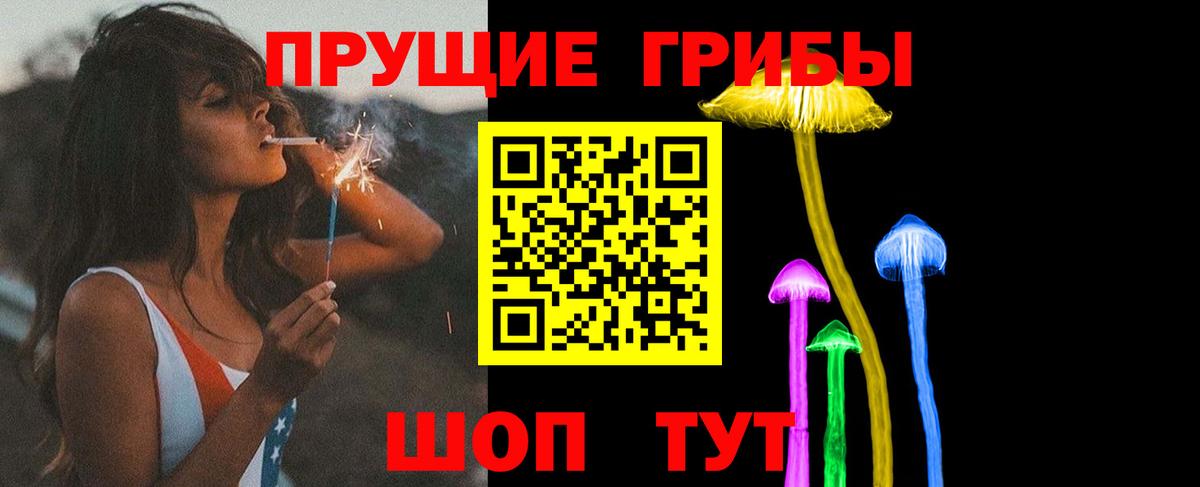 Псилоцибиновые грибы Cubensis Ипатово